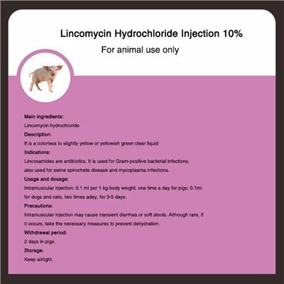 Lincomycin Hydrochloride انجکشن 10 فیصد